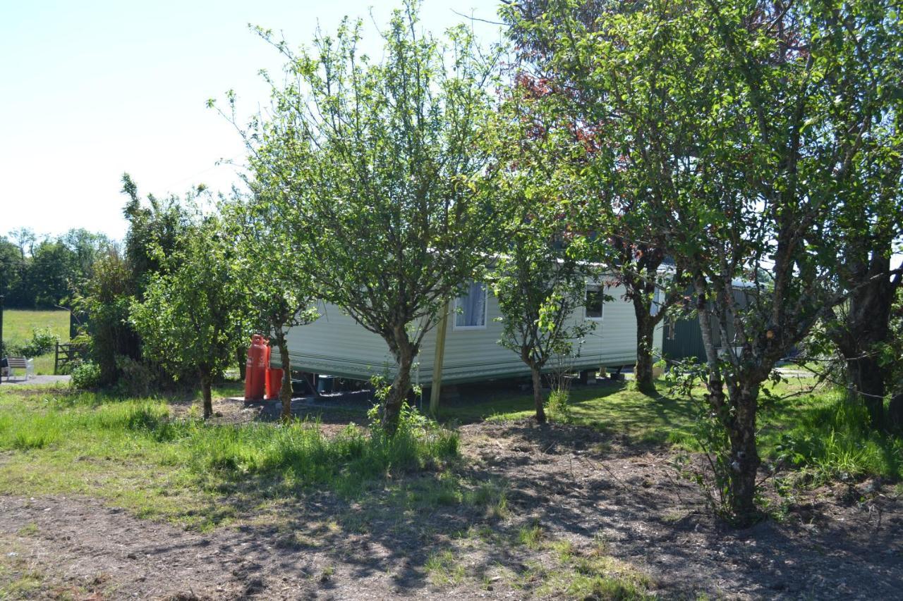 Swallows Return Villa Clynderwen Екстериор снимка